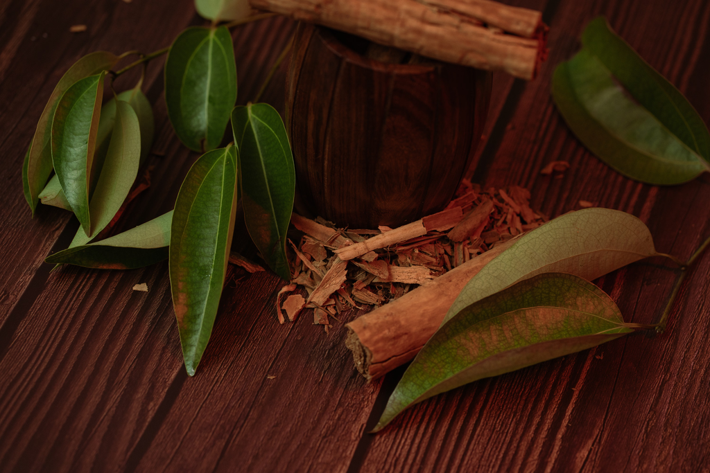 Canela 1 Canela verdadeira (Cinnamomum verum) em casca seca