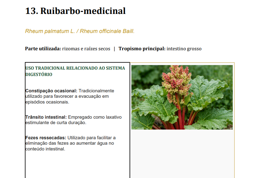 Guia de Fitoterápicos Digestivos: 30 Plantas Analisadas com Foco em Segurança e Individualidade Biológica 2 ficha de exemplo fitoterapicos digestivos